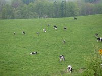 img (271)